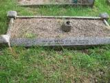image of grave number 113541